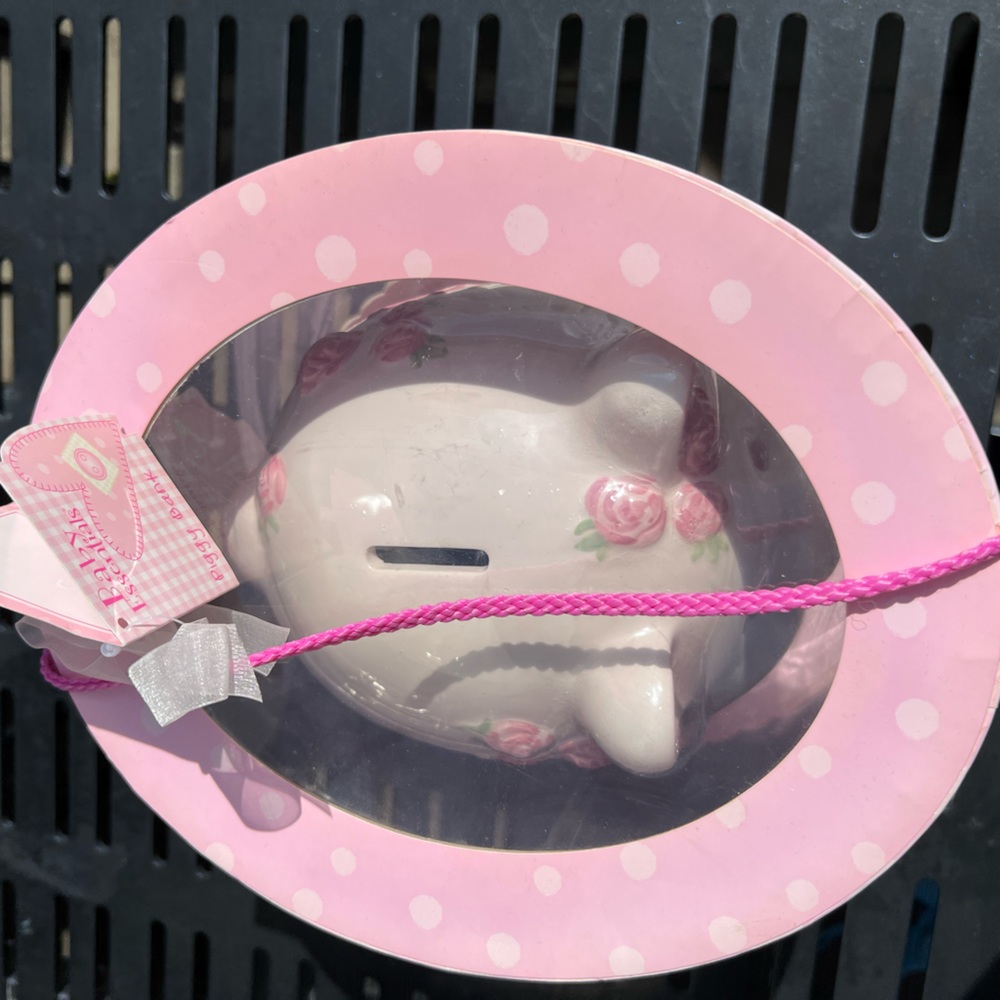 New Baby Girl Piggy Bank “Princess” By Baby Essentials - Picture 4 of 16